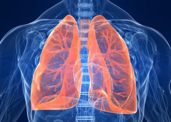 Fisioterapia Respiratória